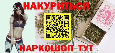 дмт Обь