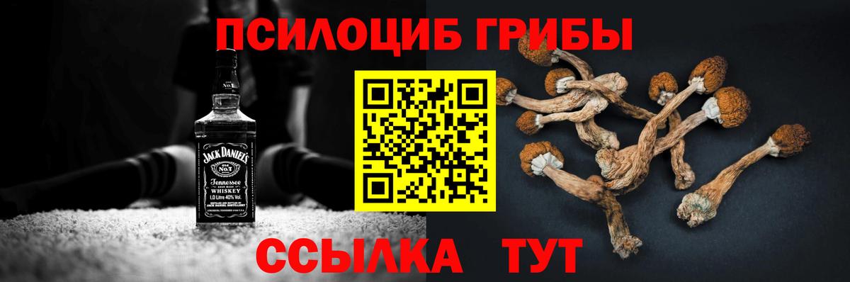 где найти наркотики  Вход с VPN  Прохладный  Галлюциногенные грибы GOLDEN TEACHER  Псилоцибиновые грибы ЛСД 
